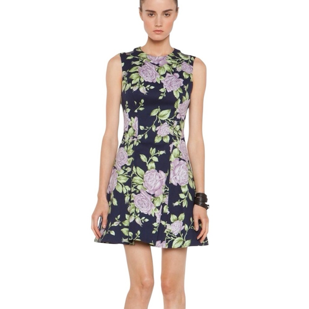 Rag & bone Sleeveless Floral Ruby Dress